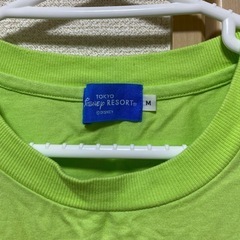 ディズニー マイクワゾウスキのTシャツの画像