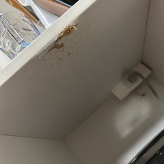 食器棚　キッチン収納の画像