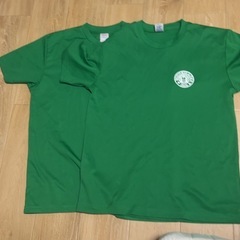 緑が丘中学校 応援TシャツLサイズ2枚
