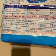 小型犬　マナーウエアの画像