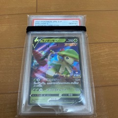 キヨガッサV PSA10