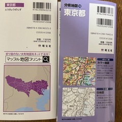 東京の地図　1枚の大判紙　2種類セットの画像