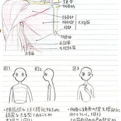 解剖学を用いたオンラインボイストレーニング！