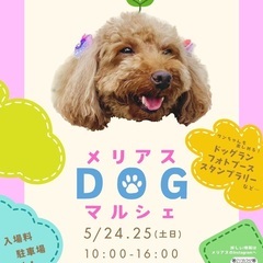 まつぶし緑の丘公園　メリアスdogマルシェ　わんこと一緒に楽しめ...