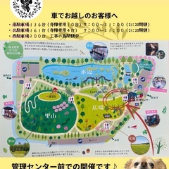 まつぶし緑の丘公園　メリアスdogマルシェ　わんこと一緒に楽しめるイベント - 北葛飾郡