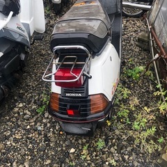 リード　80 ss 2スト　値下！の画像