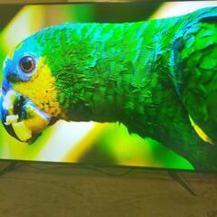 SONY BRAVIA KJ-65x8550G②