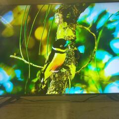 SONY BRAVIA KJ-65x8550G②の画像