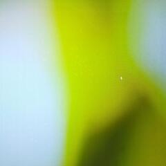 SONY BRAVIA KJ-65x8550G②の画像