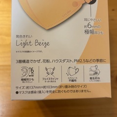 立体マスク ライトベージュの画像