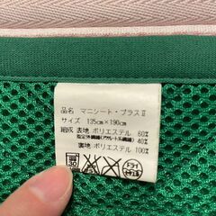 除湿・消臭敷きパッド ダブル マニフレックス/magniflexの画像