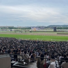 競馬仲間募集してます！競馬の話で盛り上がりましょう♪ − 東京都