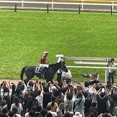 競馬仲間募集してます！競馬の話で盛り上がりましょう♪