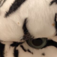 最終値引き ホワイトタイガー ぬいぐるみの画像