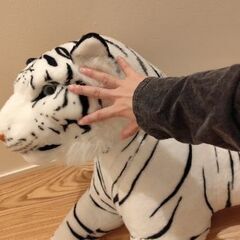 最終値引き ホワイトタイガー ぬいぐるみの画像