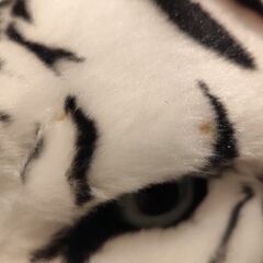 最終値引き ホワイトタイガー ぬいぐるみの画像