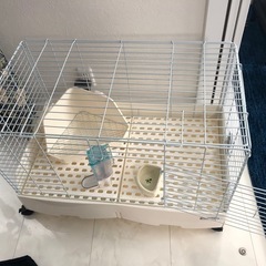 ウサギさん飼育セット　ケージ、ヒーター、えさ、お世話道具一式