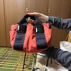 無料）PAPILLONNERのミニバッグの画像