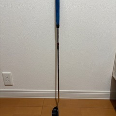 オデッセイパターの画像