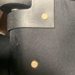 埼玉栄高　バスケ部　キャリー　レアの画像