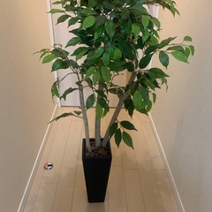 観葉植物(造花)