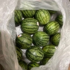 こだまスイカ　3個