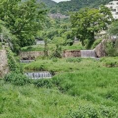 山歩きその５