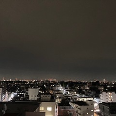 シングル仲間募集