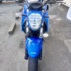 SUZUKI ジクサー250の画像
