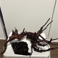 流木　アクアリウム　熱帯魚　ADA　沈下流木