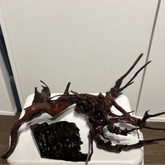 流木　アクアリウム　観賞魚　熱帯魚　ADA　沈下流木の画像