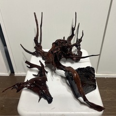 流木　アクアリウム　観賞魚　熱帯魚　ADA　沈下流木の画像