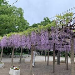 人生は神の演劇、その主役は己自身である。