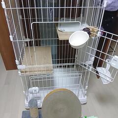 猫ゲージ＆その他