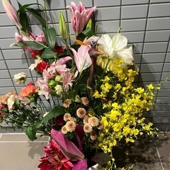 生花13
