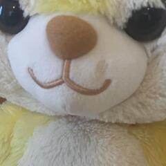 かわいいぬいぐるみの画像