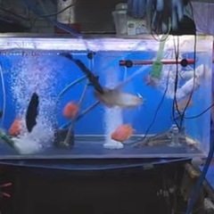 ※全品半額※