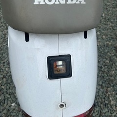 パル　ディオ　旧原付　ジョグZX パッソル　ミント　dj1 50ccの画像