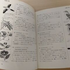 『野山の鳥　カラー自然ガイド１』小林桂助　保育社の画像