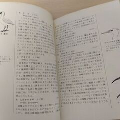 『水辺の鳥　カラー自然ガイド９』小林桂助　保育社の画像