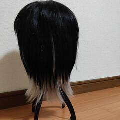 医療用ウィッグの画像