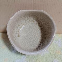 食器　小鉢　陶磁器　5個セットの画像