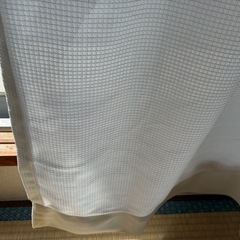 ニトリ　遮熱・遮像・ミラーレースカーテン　アラン     巾150cm X 丈176cm(2枚セット)の画像