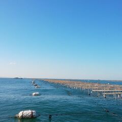 ５月１９日から、知床から斜里を３泊４日で旅行するのですが、案内し...