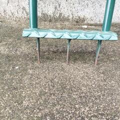 芝　根切の画像