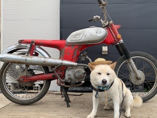 希少　ホンダ CL65 欠品多数　レストアベース 茨城　検　CL50 CD50 SS50