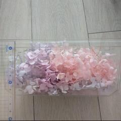 プリザーブドフラワー　あじさいの画像