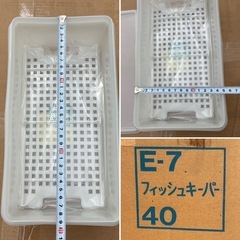 【未使用品】Tupperware タッパーウェア 3.1リットル フィッシュキーパー 保存容器 密閉容器  小物収納 日用品 の画像