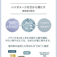 ラシカ ブルーグロス シャンプー＆トリートメントの画像