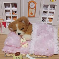 フカフカピンクの布団で寝ている可愛いワンちゃん　　羊毛